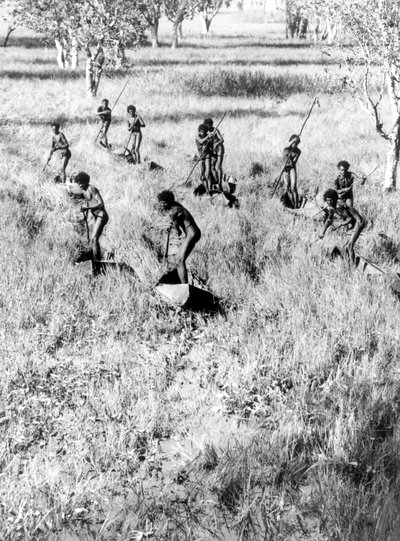 The Goose Hunters of the Arafura Swamp by Donald F Thomson